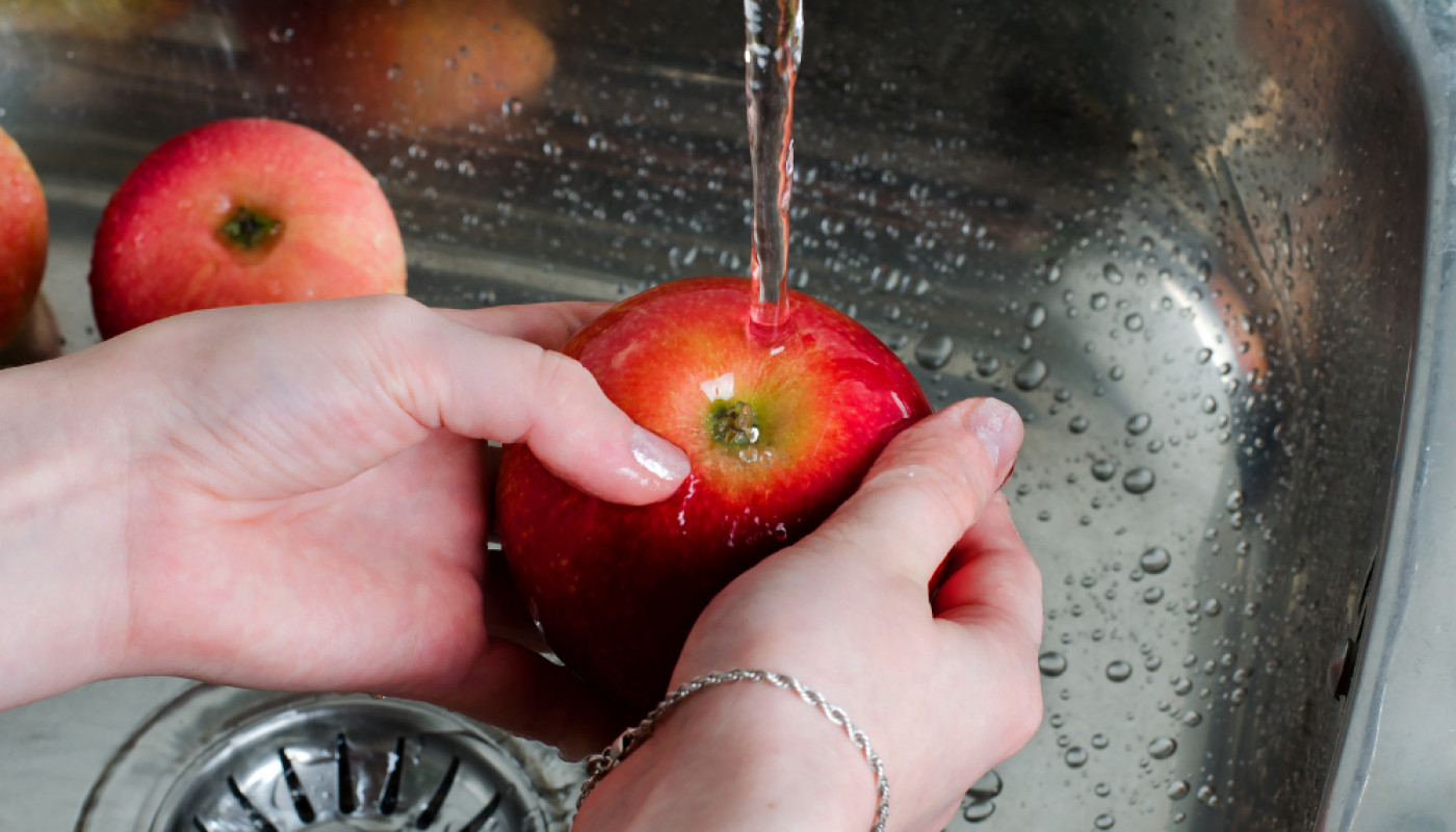 L’audit en hygiène alimentaire, une étape clé en restauration !